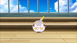 Togedemaru ser spent ut — Pokemon Bakgrunner