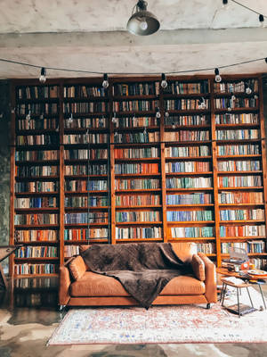 Tradisjonelt bibliotekinteriør med koselig sofa — Bokestetikk Bakgrunner