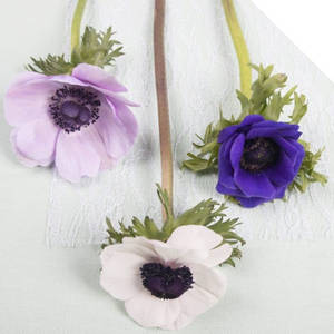 Tre anemoneblomster bakgrunnsbilde — 1:1 Bakgrunner