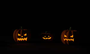Halloween-gresskar bakgrunn — Halloween-GIF Bakgrunner