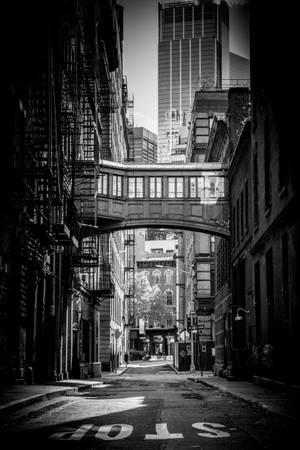 Tribeca New York Svart Hvitt — Xiaomi Pad 8 Bakgrunner
