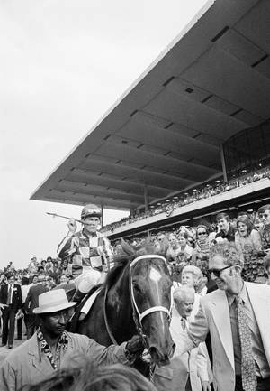 Secretariat glad folkemengde bakgrunnsbilde — IQOO Pad Bakgrunner