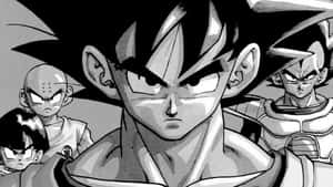 Dragon Ball-bilder — Dragon ball Bakgrunner