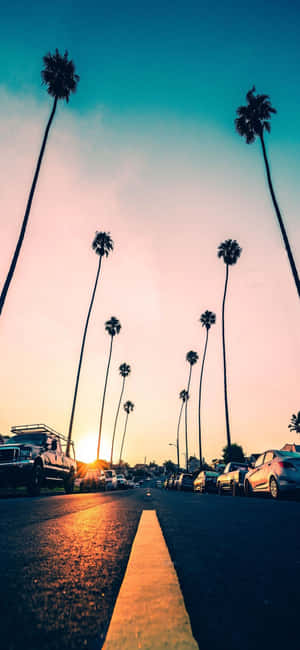 Iphone X California Bakgrunn — Pixel 8 Bakgrunner