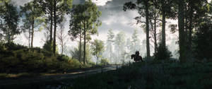 Ultrabredt skogsmiljø fra The Witcher 3-videospillbakgrunnsbilde. — 3440x1440 Bakgrunner