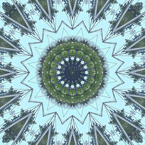 Estetisk Trippy