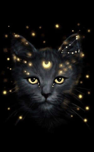 Galaxy Cat — Galaxy Tab S9 FE Bakgrunner