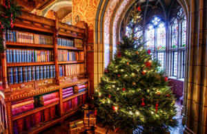 Vakker jul på biblioteket — Vakker jul Bakgrunner