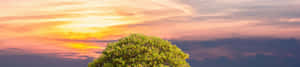 4k naturbakgrunn — 4K natur Bakgrunner