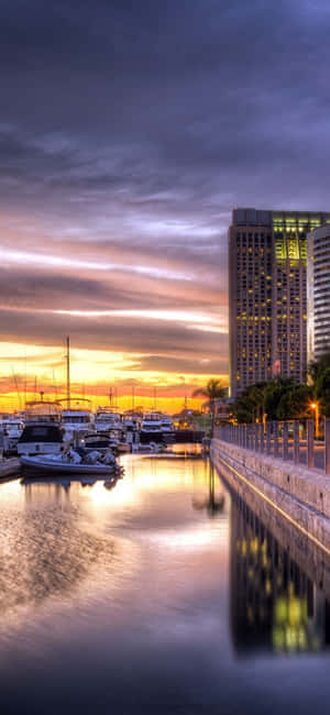 San Diego Iphone [bakgrunn] — Tecno Spark Go 5G Bakgrunner