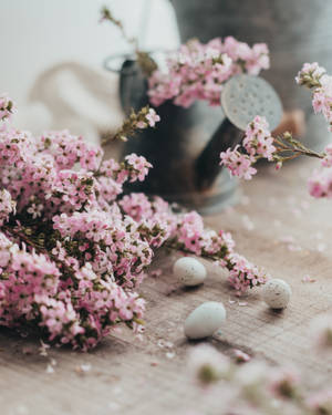 Hvite påskevaktel egg med rosa kronblad blomster, påsketapet — 4:5 Bakgrunner
