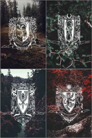 Harry Potter estetiske bilder — Estetisk Harry Potter Bakgrunner