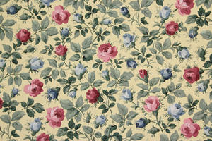 Vintage blå rose-estetikk — Rose Aesthetic Bakgrunner