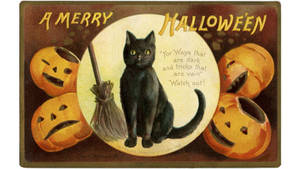 Vintage Halloween Heksekatt