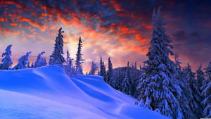 Vinter solnedgang utsikt bakgrunnsbilde — Vinter Bakgrunner