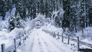 Vinterbakgrunn