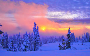 Vinterscene med intens solnedgang — Vinter Bakgrunner