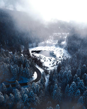Bakgrunnsbilde med vinterskog og innsjø — Vinter Bakgrunner
