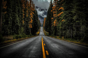 Washington State Route 410 bakgrunnsbilde — Skumring Bakgrunner
