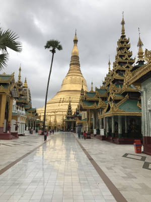 Yangon Shwedagon Kompleks Bakgrunnsbilde — Dempet Bakgrunner