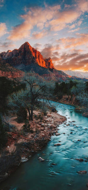 Zion Narrows-seksjonen i Zion National Park — iPhone 11 Bakgrunner